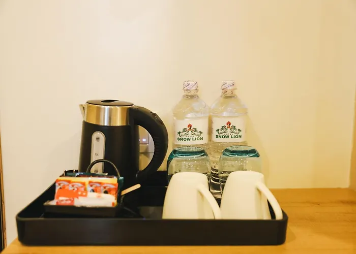 Hotel Snowlion *